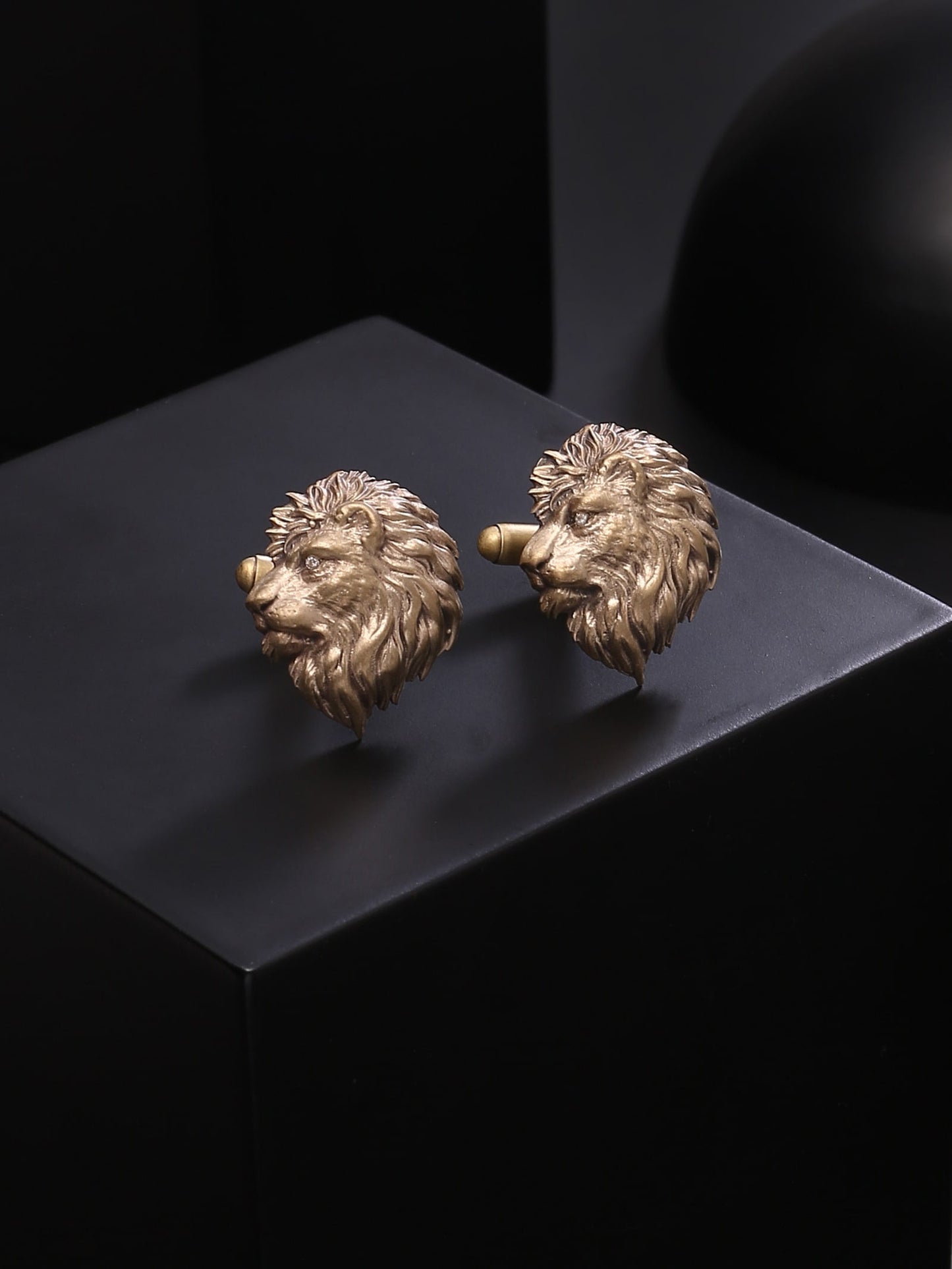 Power Lion Gift Set