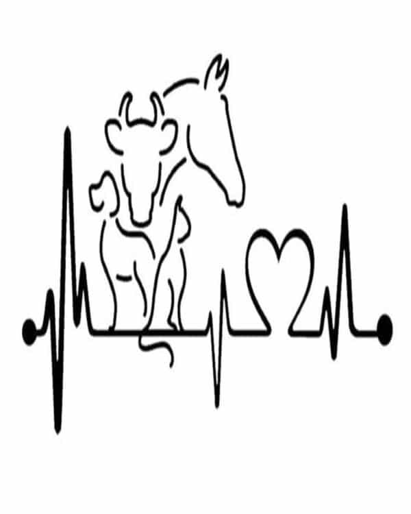 Product metafield image