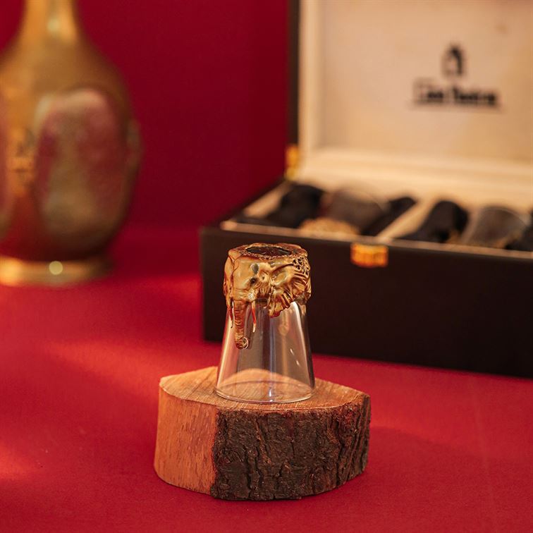 Gigantic Shot Glass
