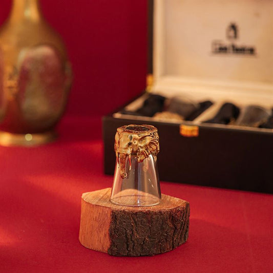 Gigantic Shot Glass