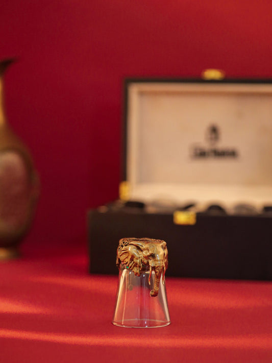 Gigantic Shot Glass
