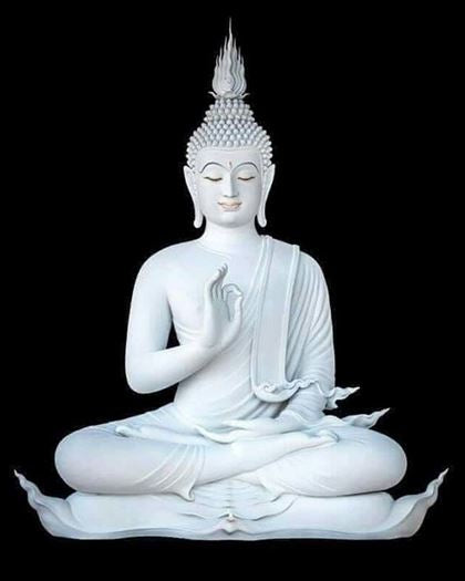 Product metafield image