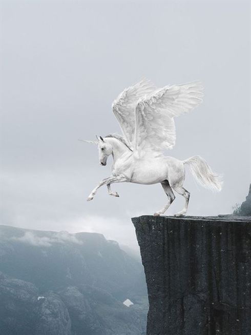 Product metafield image