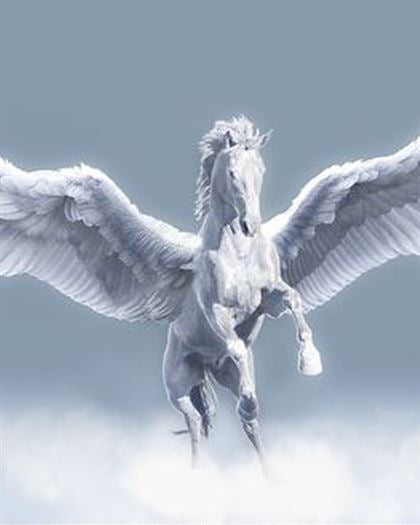 Product metafield image