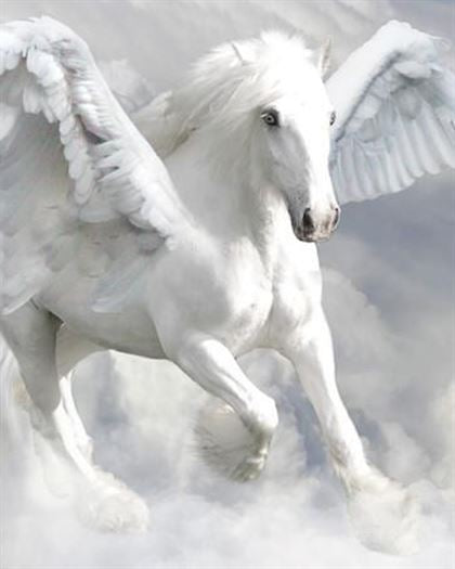 Product metafield image