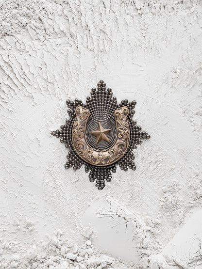 The Kotinos Star Brooch