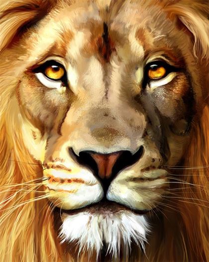 Product metafield image