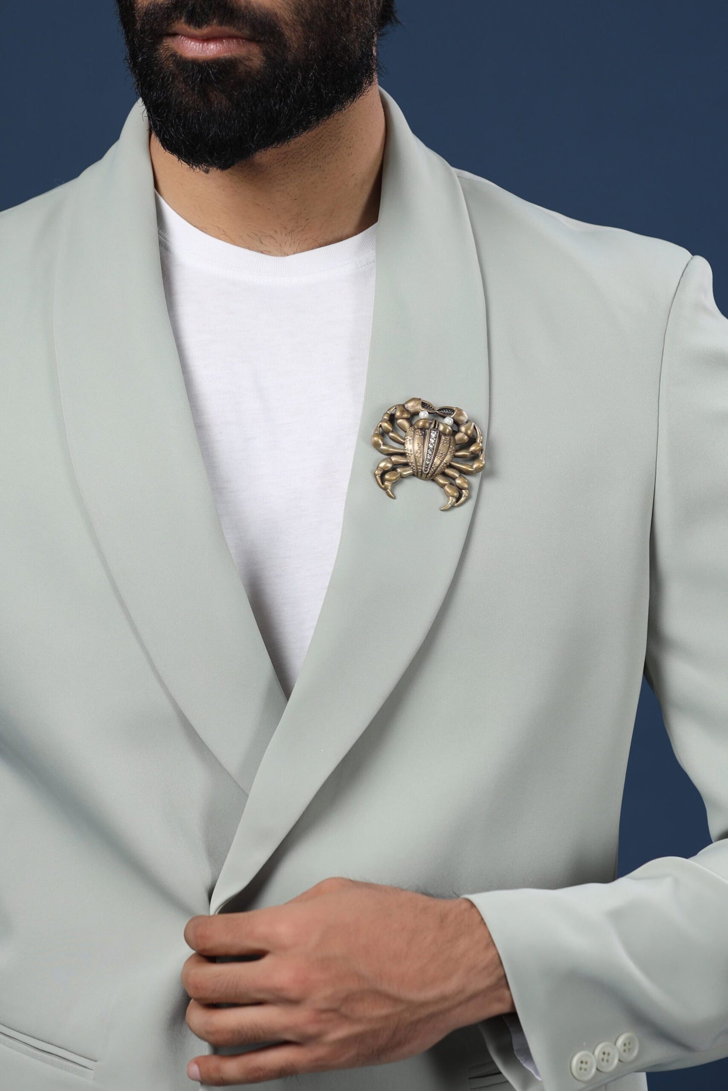 Jewelled Crab brooch