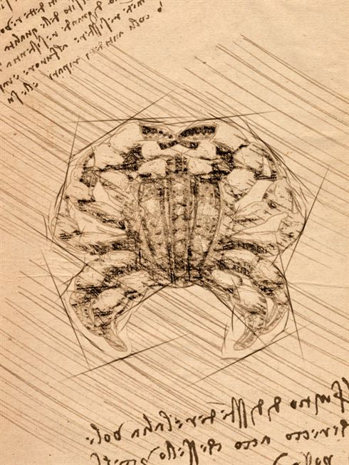 Product metafield image