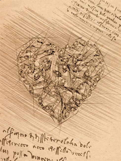 Product metafield image