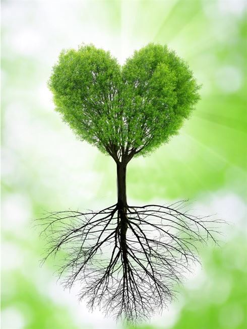 Product metafield image