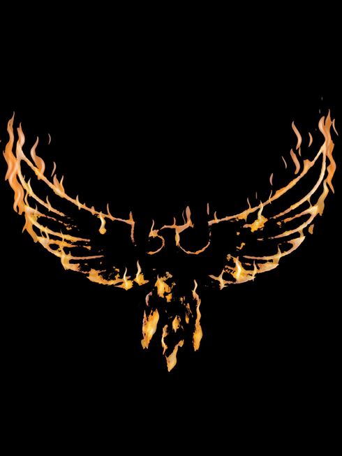 Product metafield image