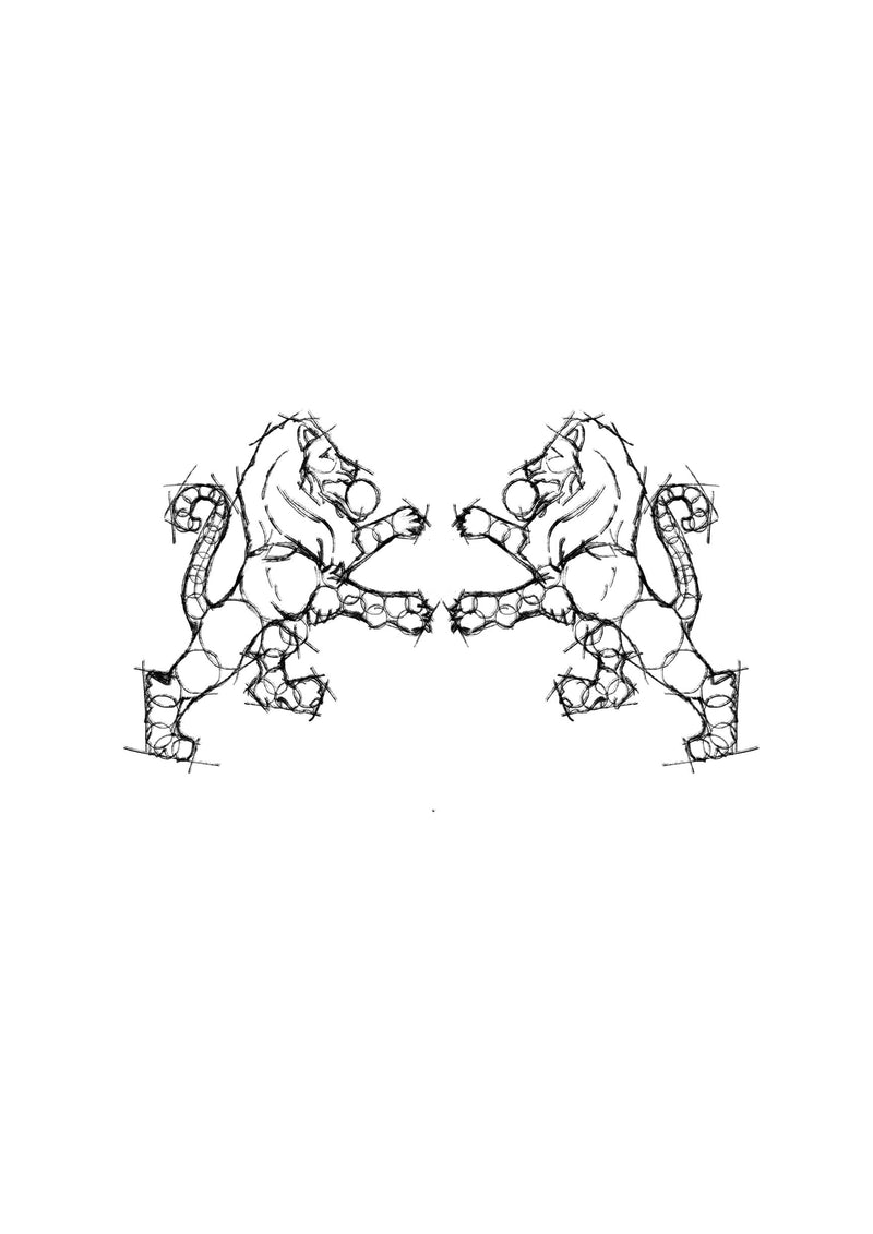 Product metafield image