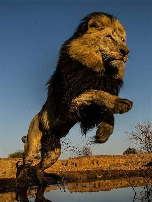 Product metafield image