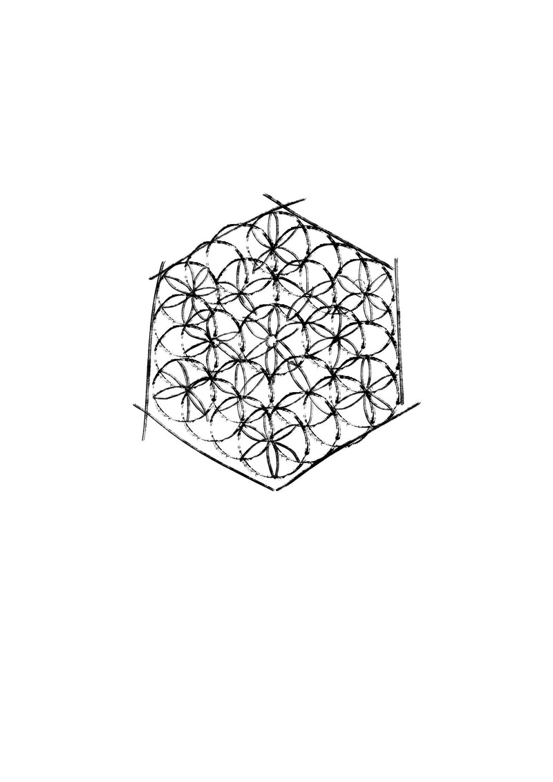 Product metafield image