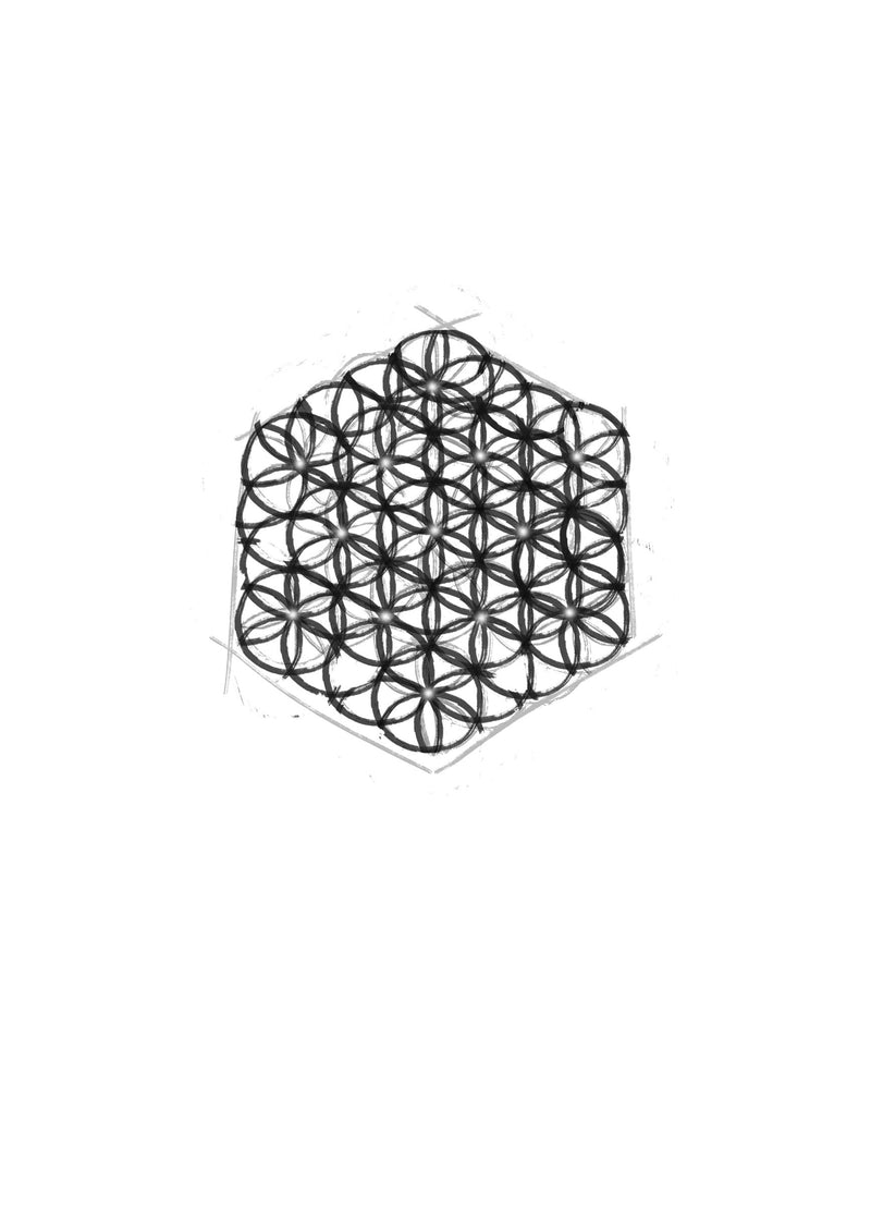 Product metafield image