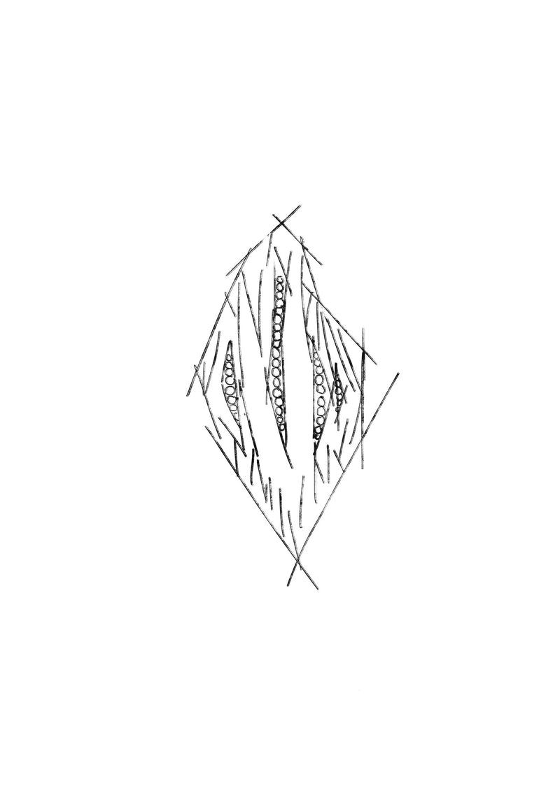 Product metafield image