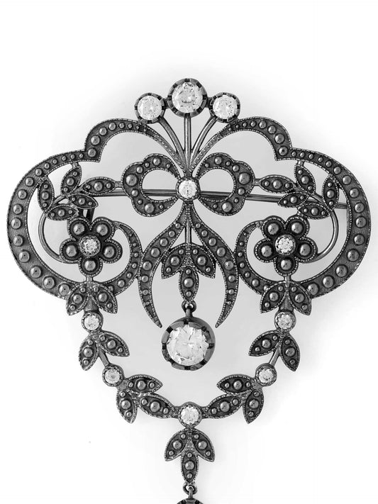 Natural Novelty Brooch