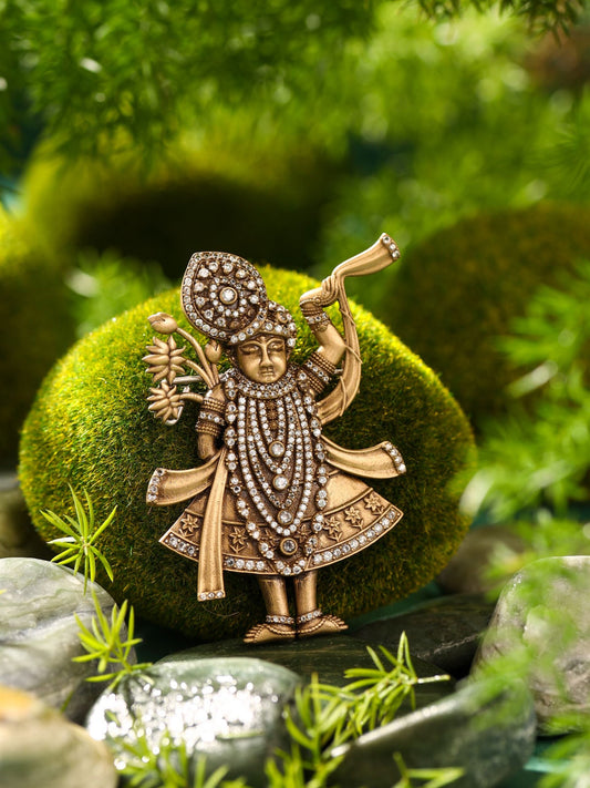 Divine Shrinathji Brooch