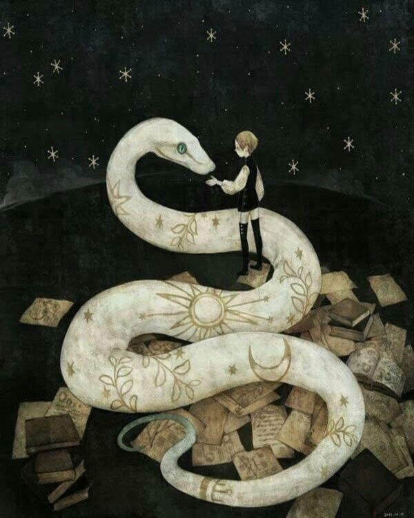 Product metafield image