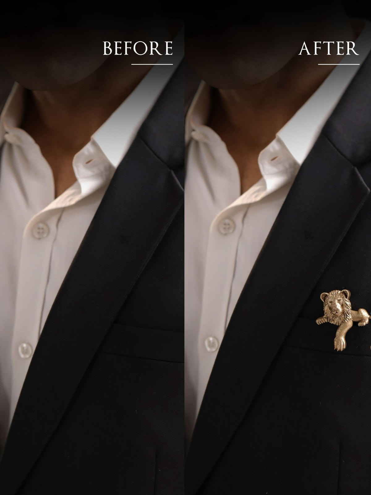 the Imperium Lion Brooch