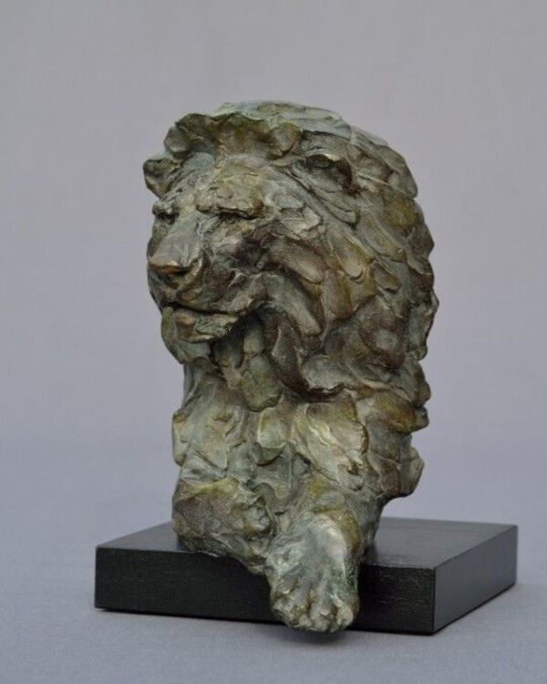 Product metafield image