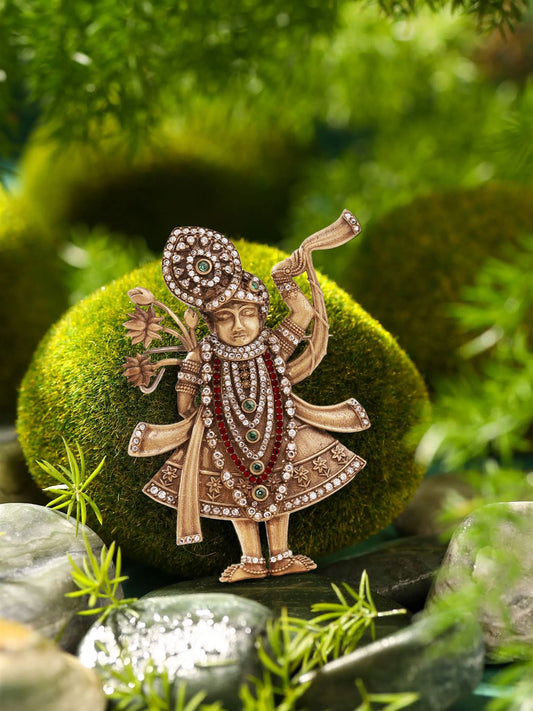 Divine Shrinathji Brooch