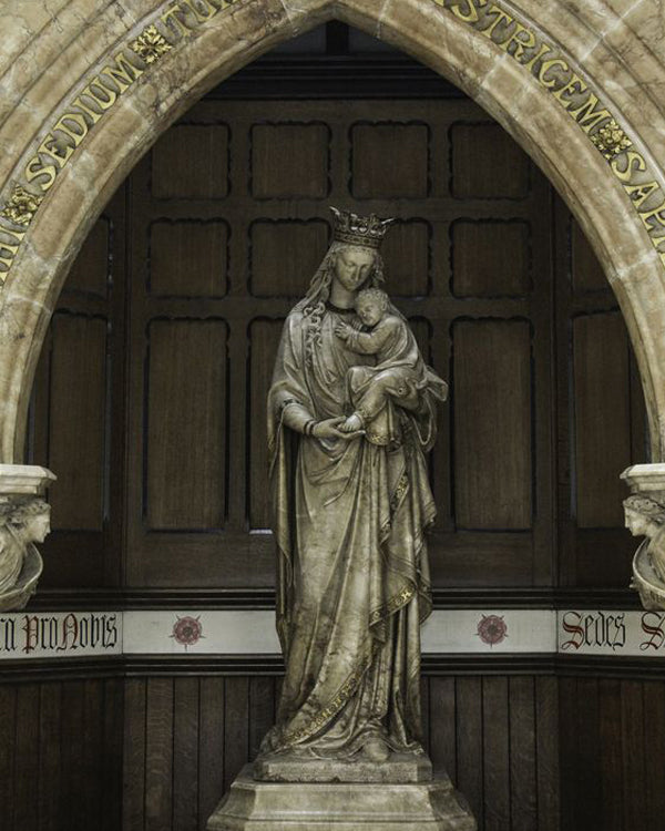 Product metafield image