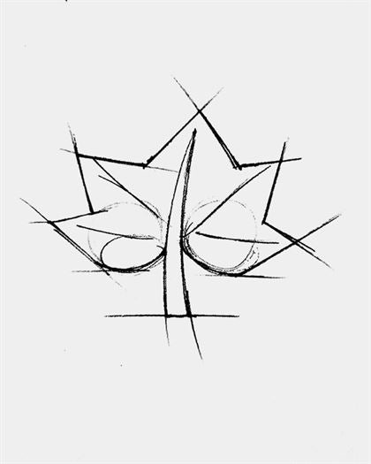 Product metafield image