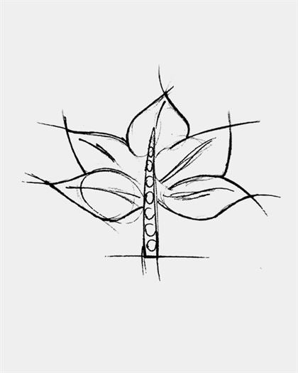 Product metafield image