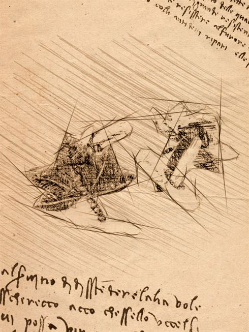 Product metafield image