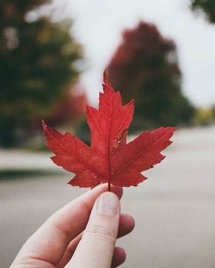 Product metafield image