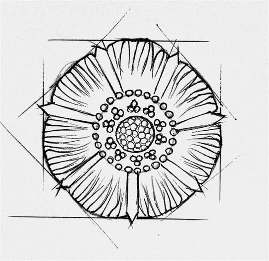 Product metafield image