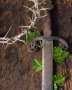 Product metafield image