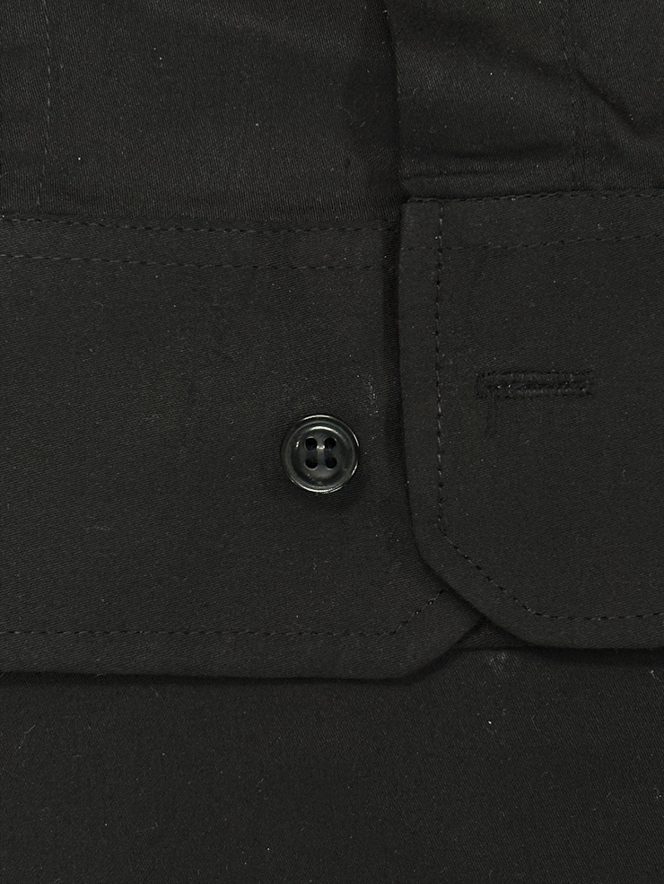 Majestic Guardian Button Cover