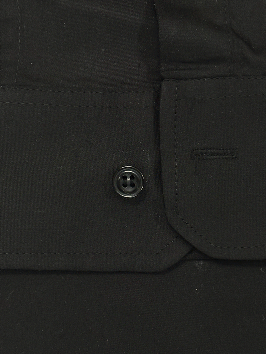 Majestic Guardian Button Cover
