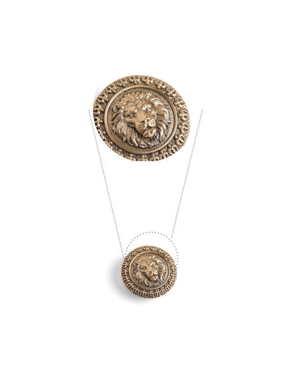 Shakti Vahana Button Cover