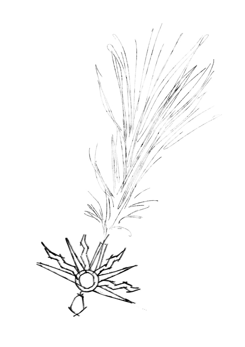 Product metafield image