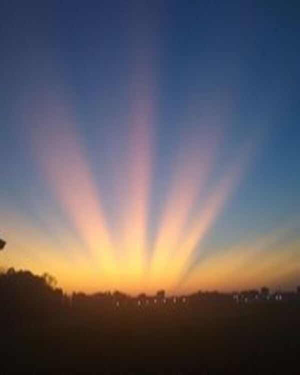 Product metafield image