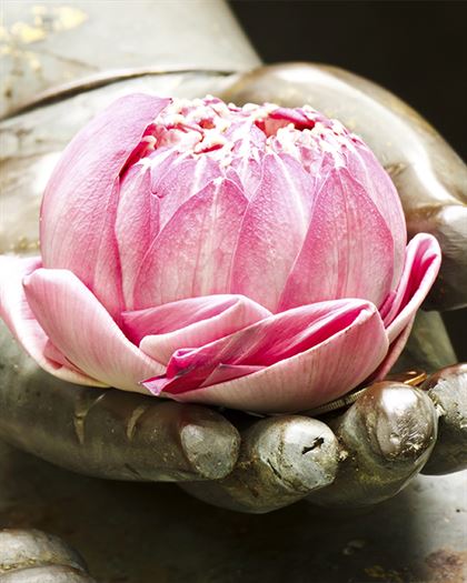 Product metafield image