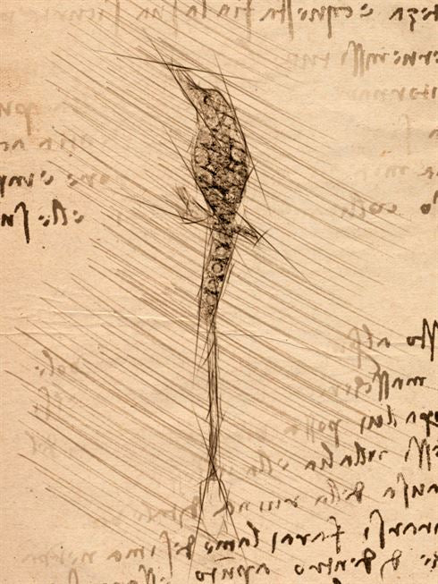 Product metafield image