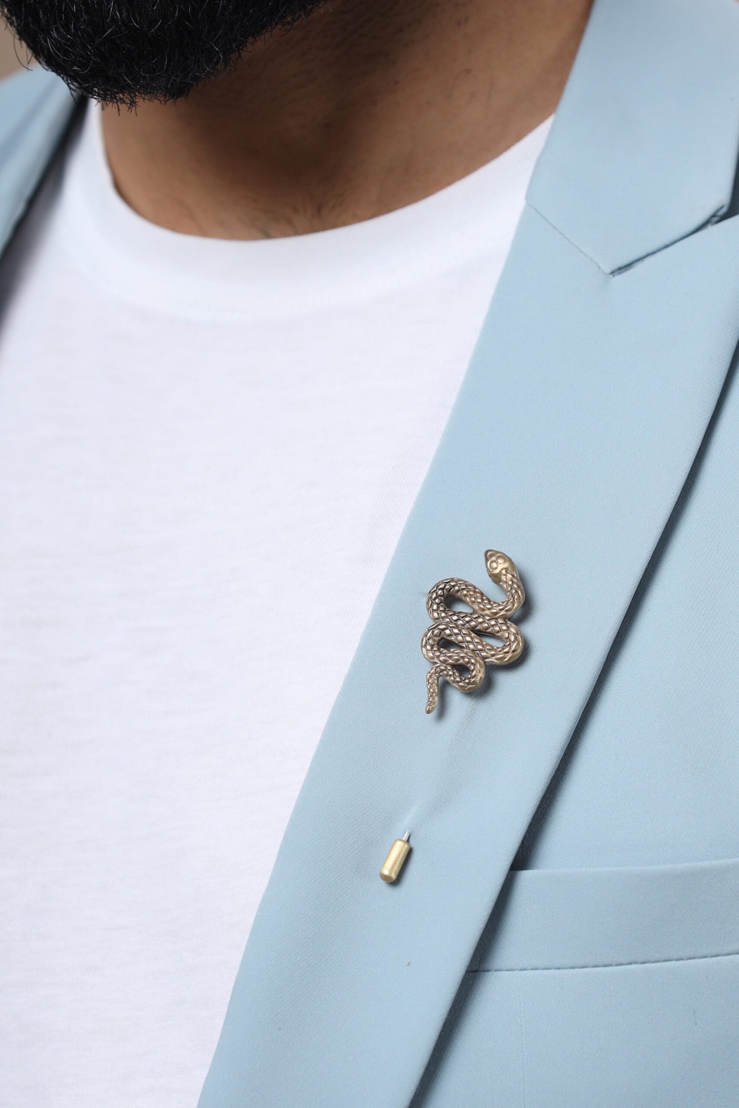 Serpent lapel pin