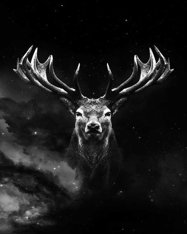 Product metafield image