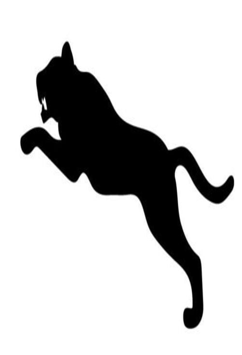 Product metafield image