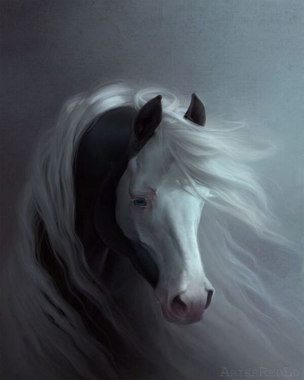 Product metafield image