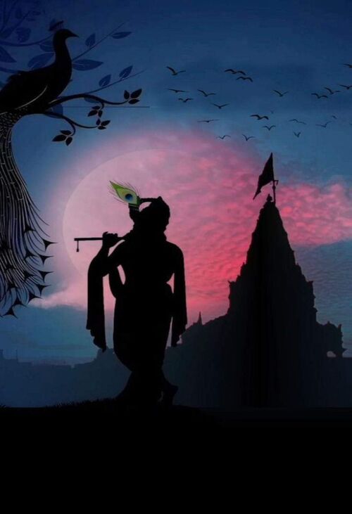 Product metafield image