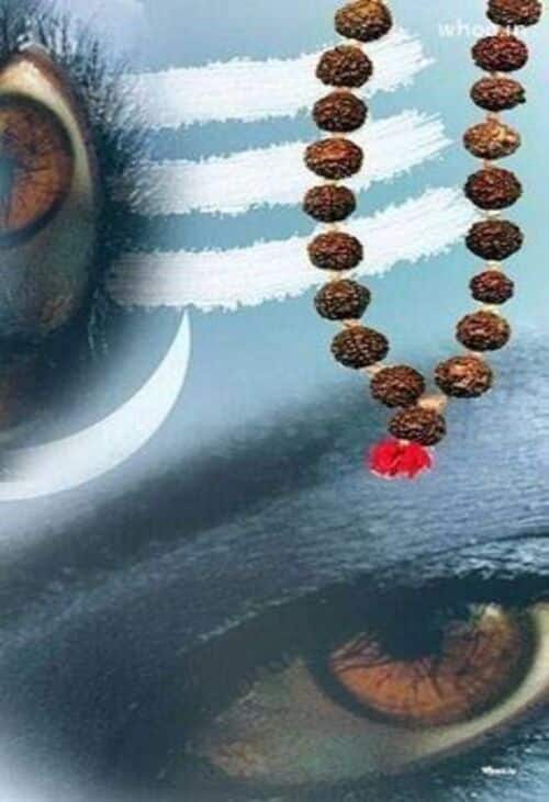 Product metafield image