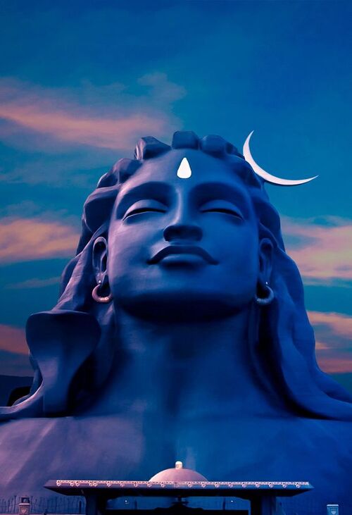 Product metafield image