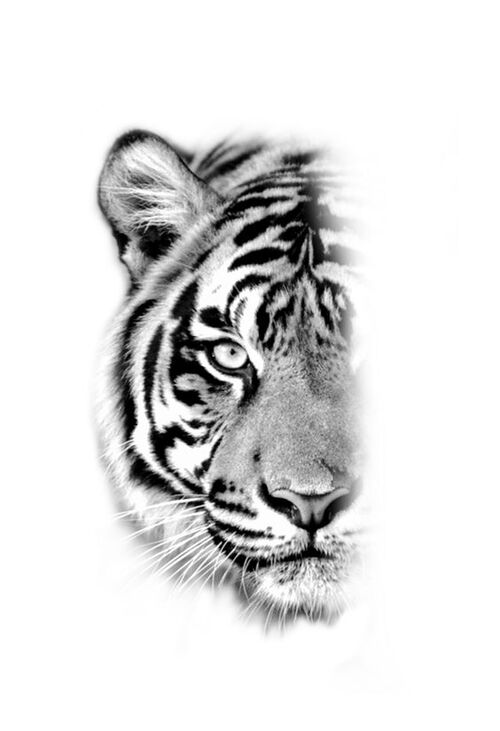 Product metafield image