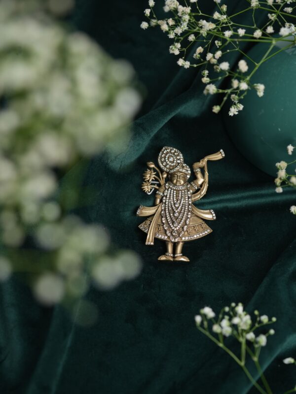 Divine Shrinathji Brooch